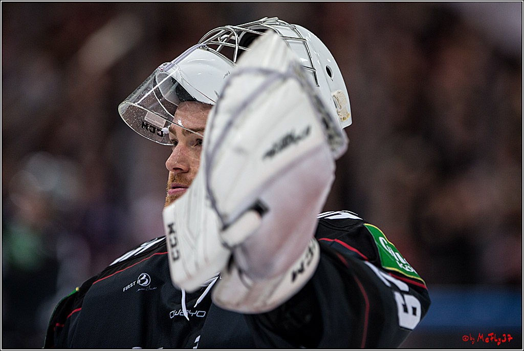 DEL, Koelner Haie - Augsburger Panther, 13.01.2017